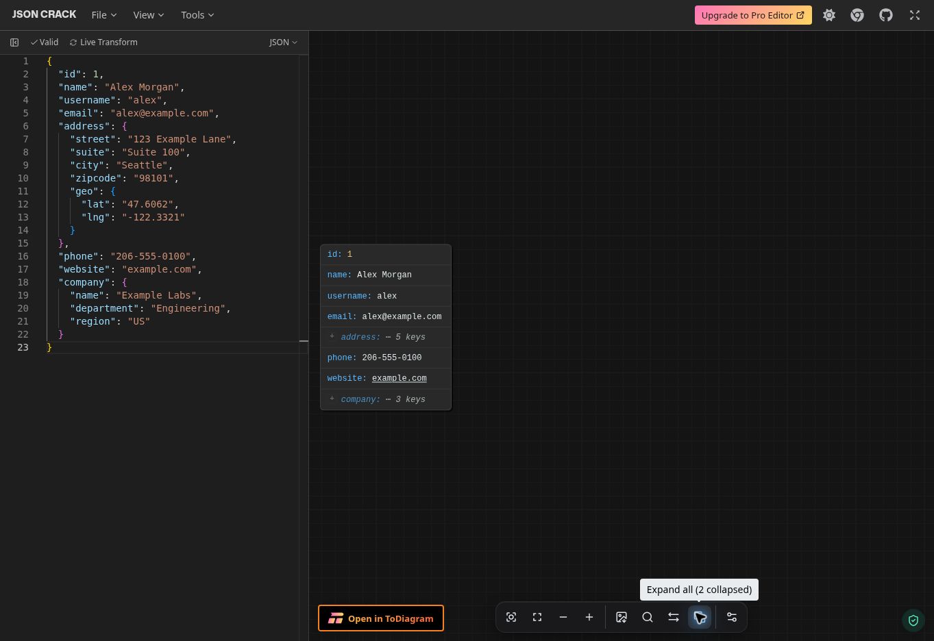 The graph is collapsed to the main user card with address and company key counts while the source JSON remains fully visible.